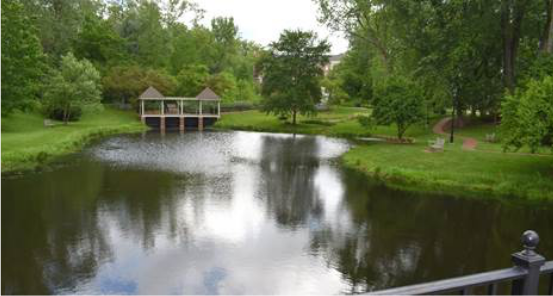 Pond at Emeriti Park